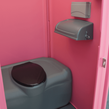 Standard Restroom in Pink Color