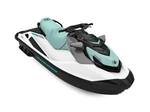 Hot-Water Decontamination of Jet Skis in Rancho Cordova, CA